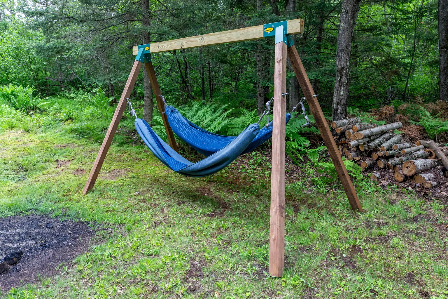 Hammock strung between the pines